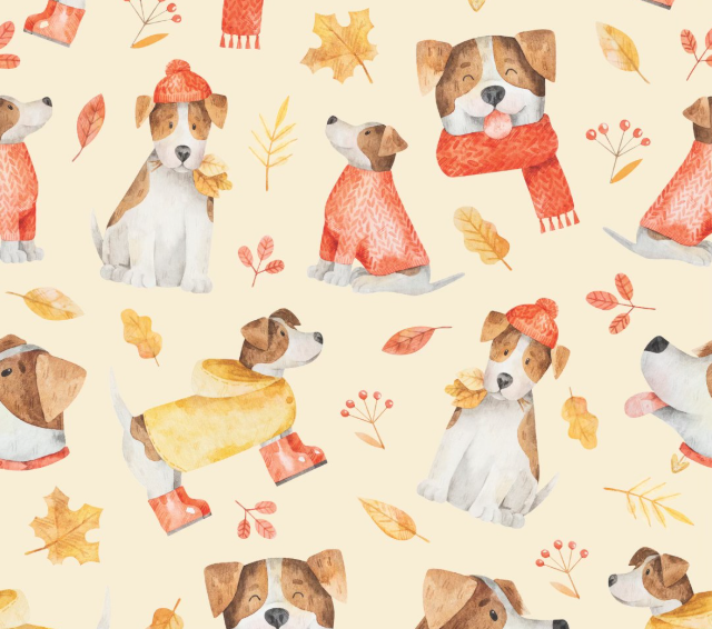 Snuggly Paws Print.png